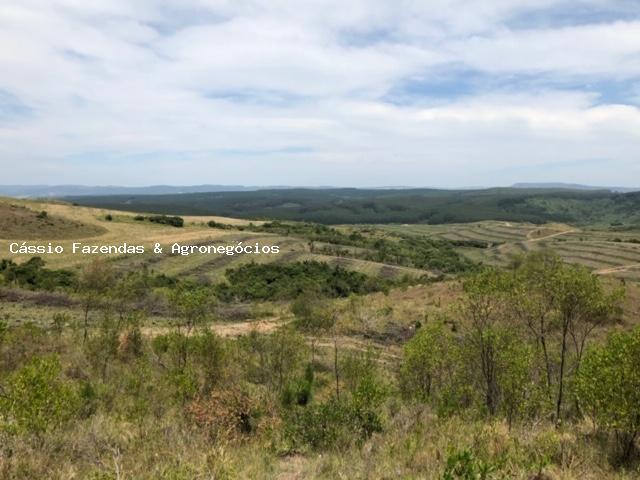 Fazenda para venda em encruzilhada do sul, interior - Foto 11