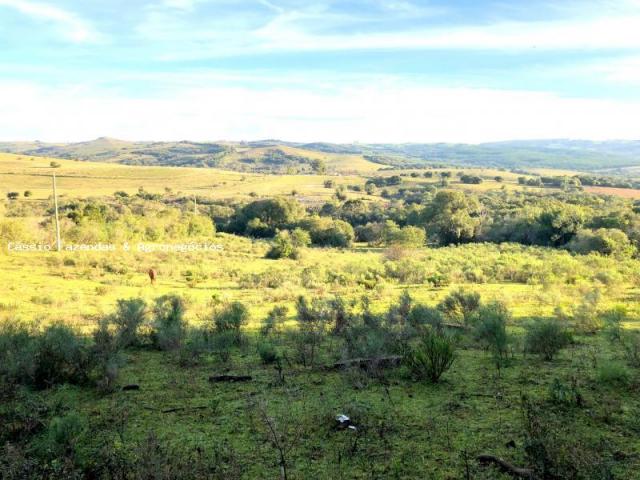 Fazenda para venda em encruzilhada do sul, interior