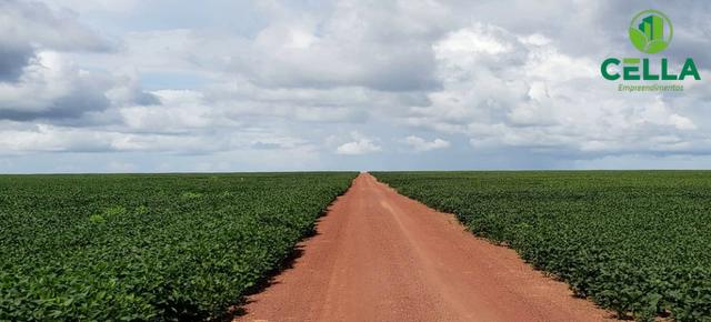 Fazenda / 14.600 ha (3.016 Alq.) / Buriticupu / Maranhão