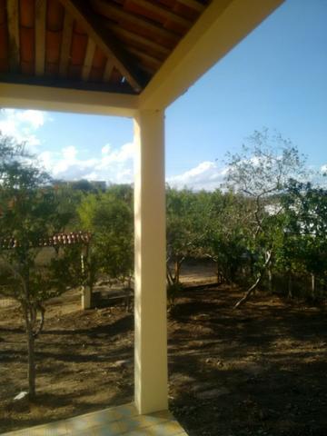 Sitio 5000m2 - Foto 3