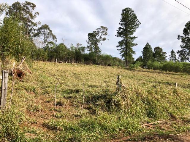 Terrenos em Taquara, 10x40 e 15x40. * - Foto 2