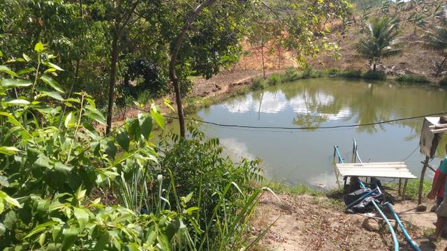 Excelente propriedade em Chã Grande, com 7 hectares - Foto 20
