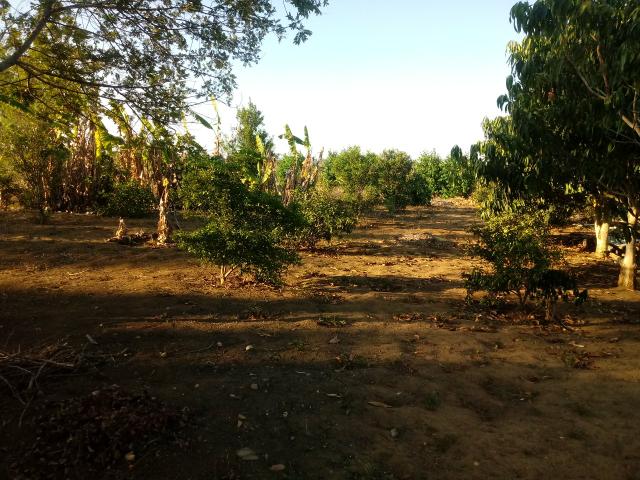 Terreno em Barra do Choça - Foto 2