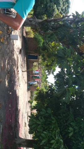 Excelente propriedade em Chã Grande, com 7 hectares - Foto 3