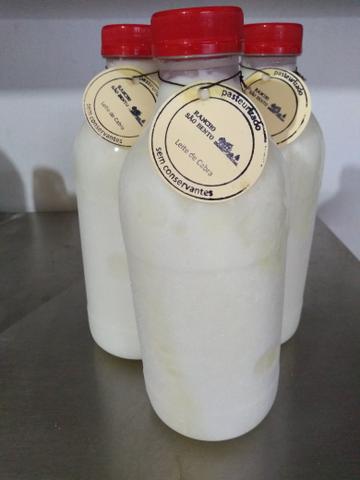 Leite de cabra direto do produtos