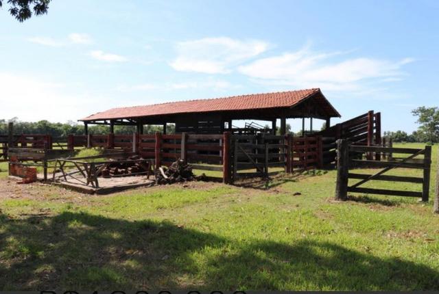 Fazendo a venda - Foto 4