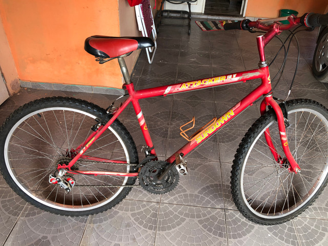 Bicicleta