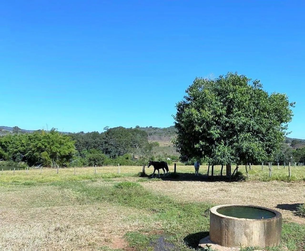 Fazenda município dê Perinopolis  - Foto 2