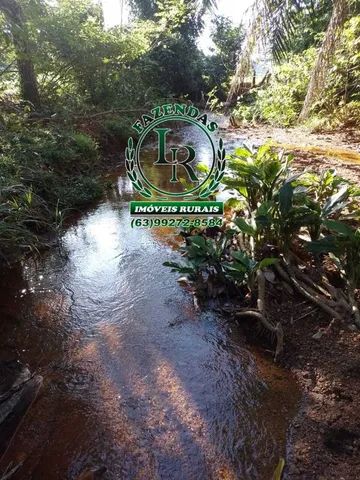 Fazenda / chácara 21,8 Alqueires  Próximo a Palmas-To - Foto 3