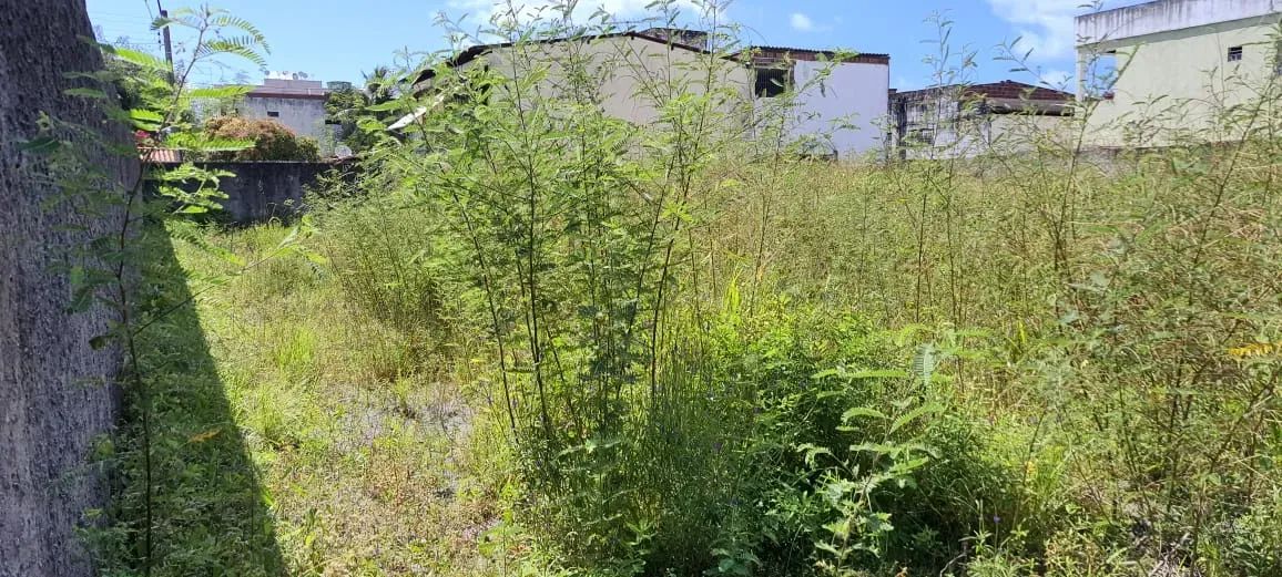 Alugo terreno c/ 800m² na Imbiribeira próximo a Lagoa do Araçá e Av  Eng Alves de Souza, R - Foto 2