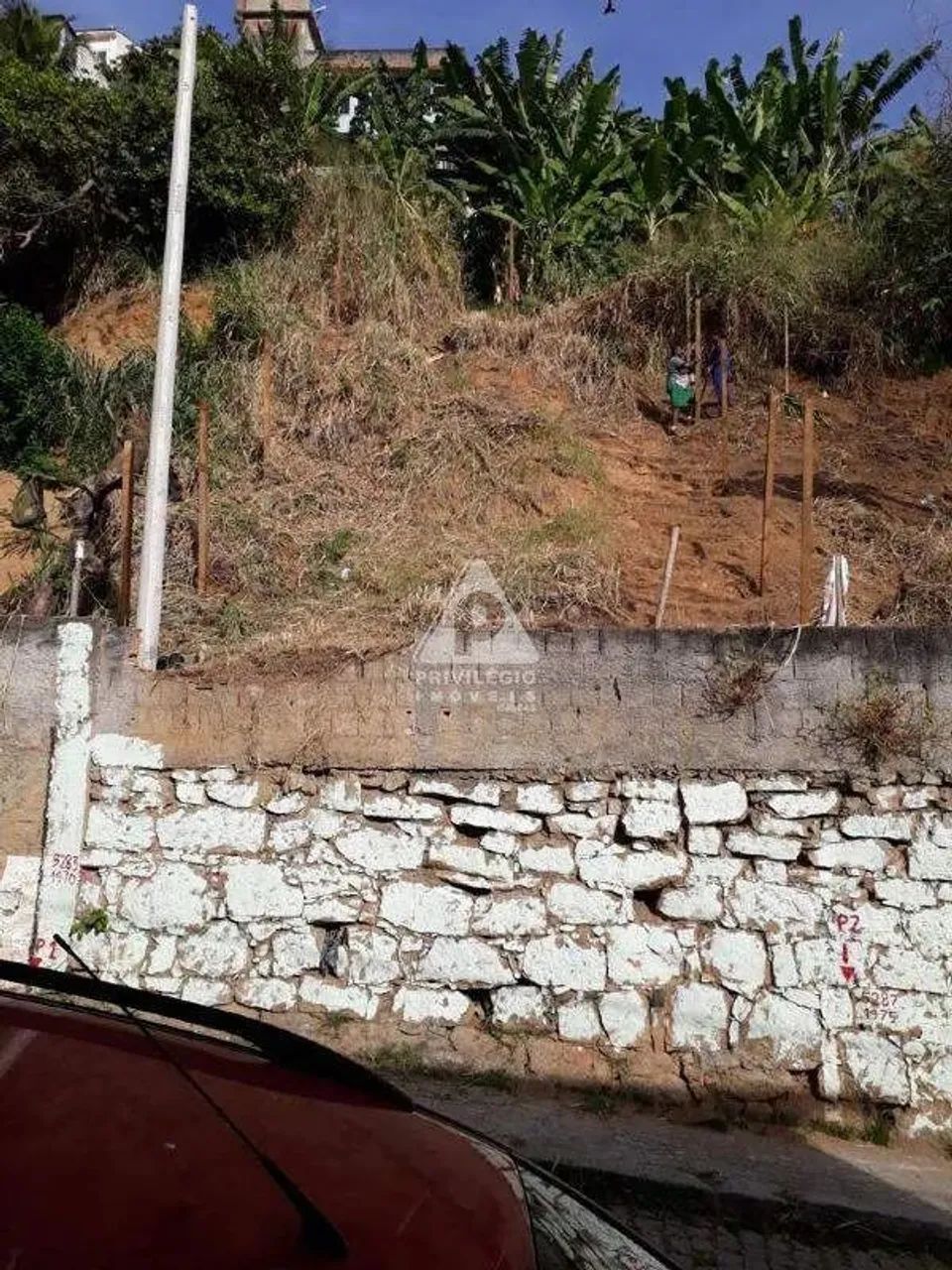 Terreno à venda - Santa Teresa - Foto 2