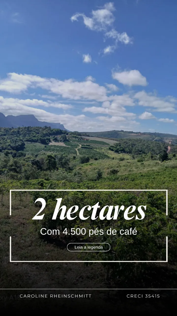 Terreno na Chapada Diamantina 2 Hectares com 4.500 pés de café (Produzindo)