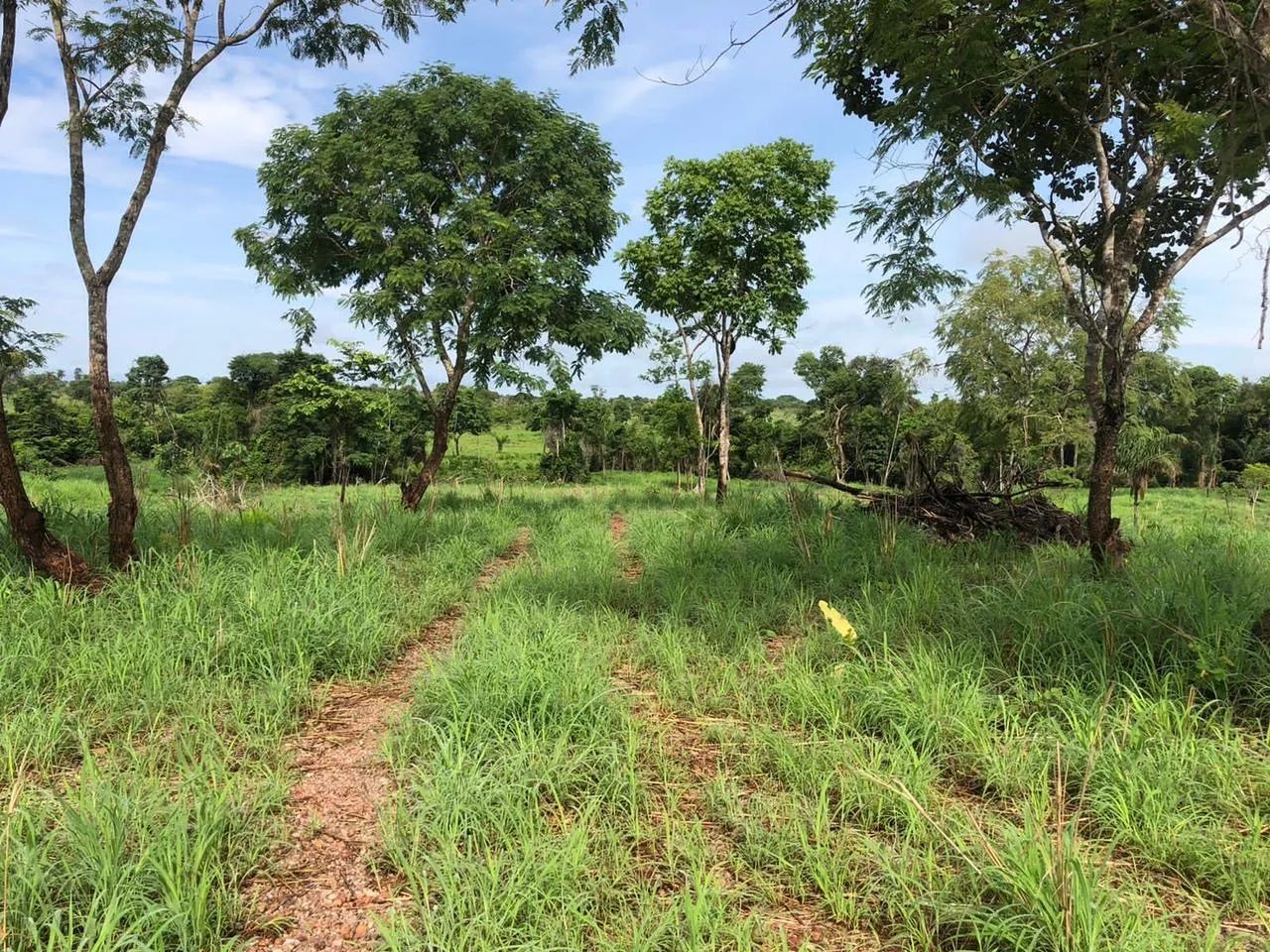 Vende se chácara  - Foto 12