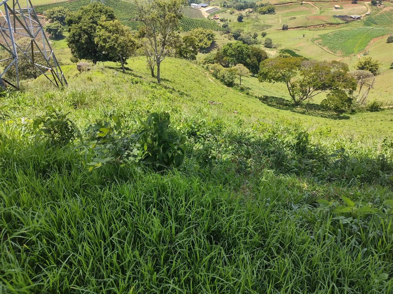 Fazenda em Maria da Fé - Foto 5