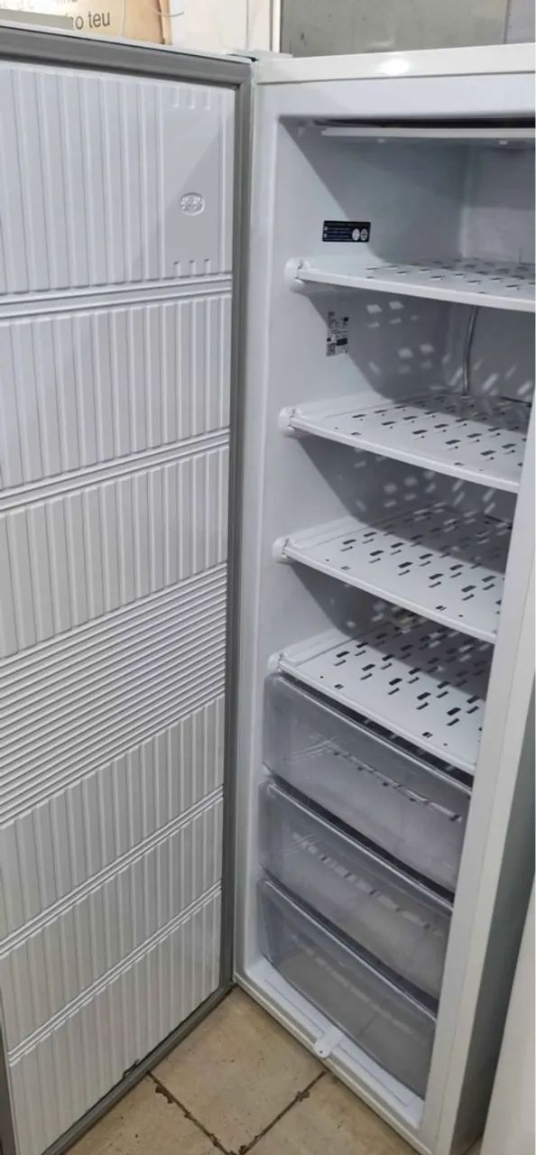 Freezer Vertical Electrolux 