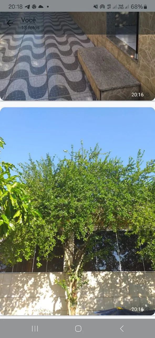 Foto - São Gonçalo - Coelho