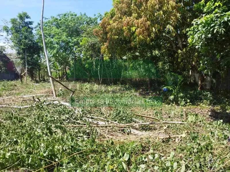 Terreno-LOCAÇÃO-Cidade de Deus-Manaus-AM - Foto 2