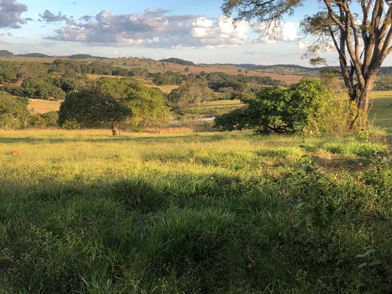Chácara Neropolis Goiás  - Foto 5