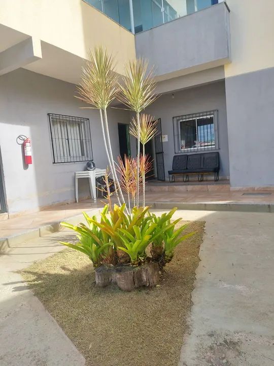 Poda de arvores e jardinagem  - Foto 5
