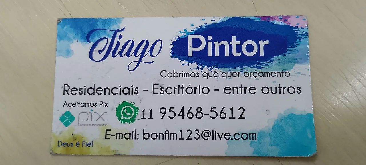 Pintor Profissional 