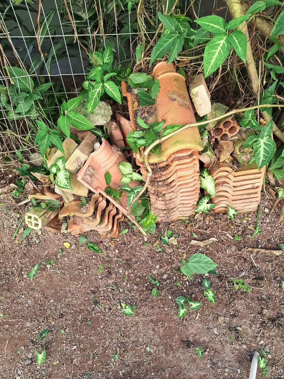 Donation of bricks and roof tiles