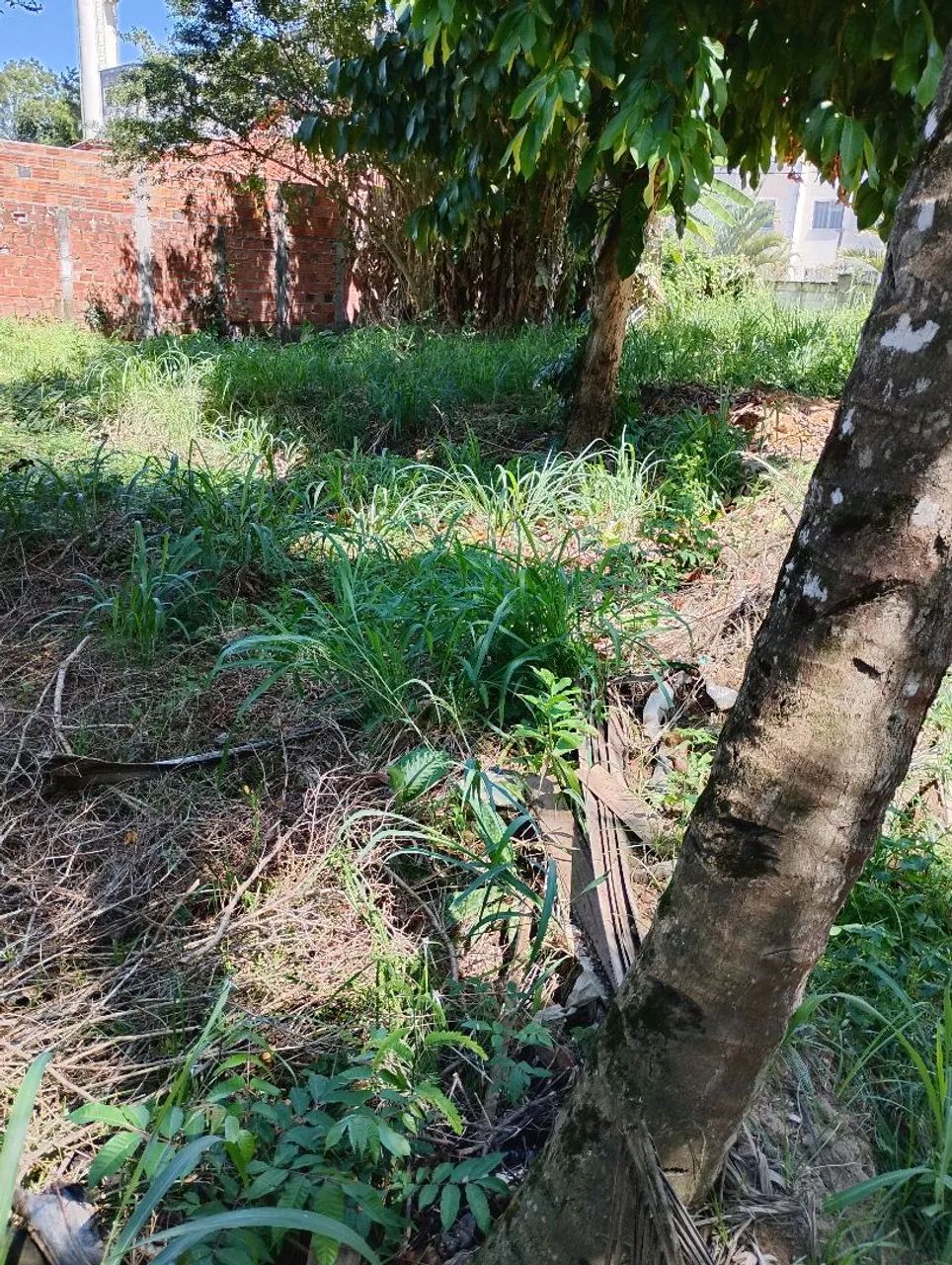Vendo Terreno na Estrada do Côco  - Foto 9