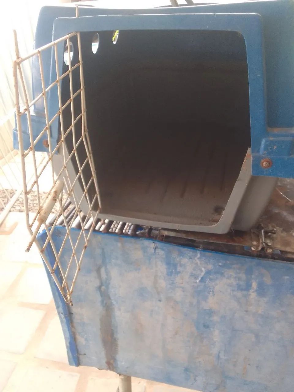 Para animal - Foto 3