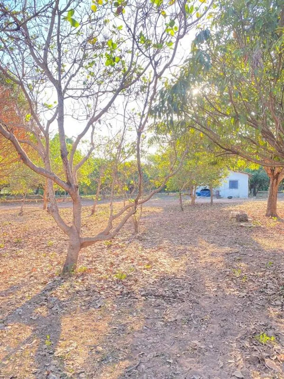 Sítio para aluguel, 3 quartos, 3 suítes, Santa Teresa - Teresina/PI - Foto 5