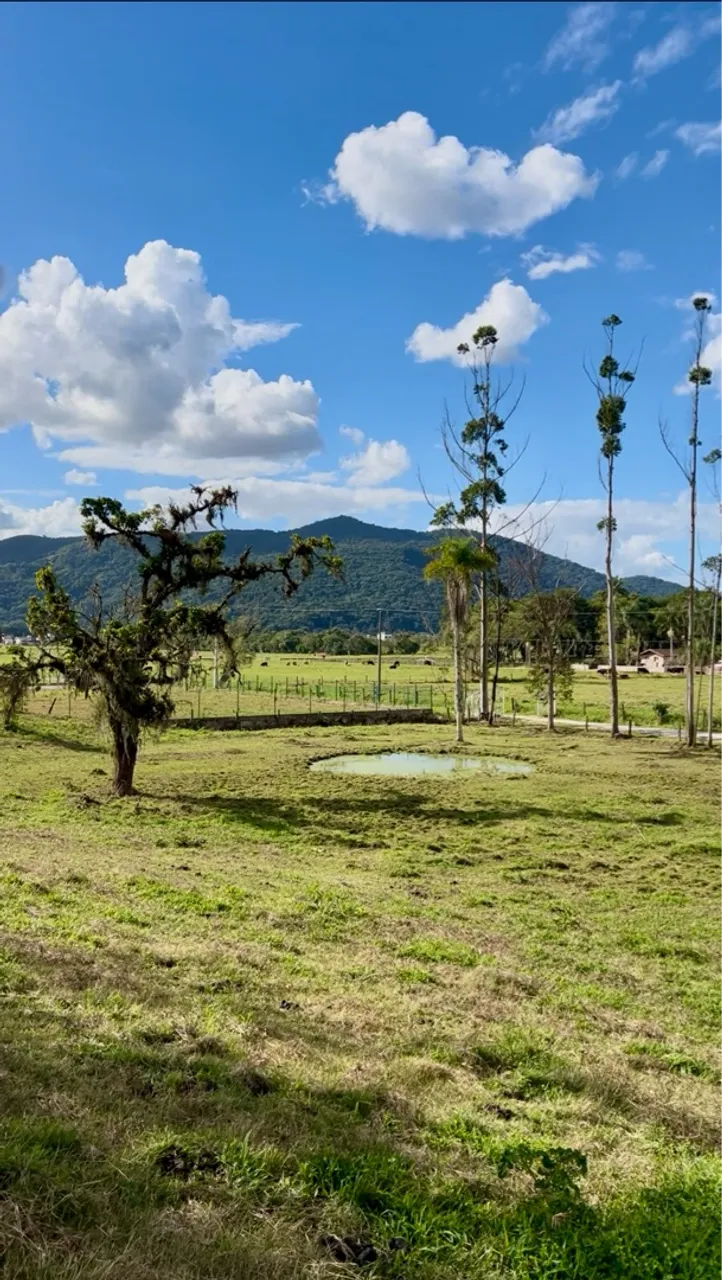 Terreno de 2.900m²- escritura - Santo Amaro
