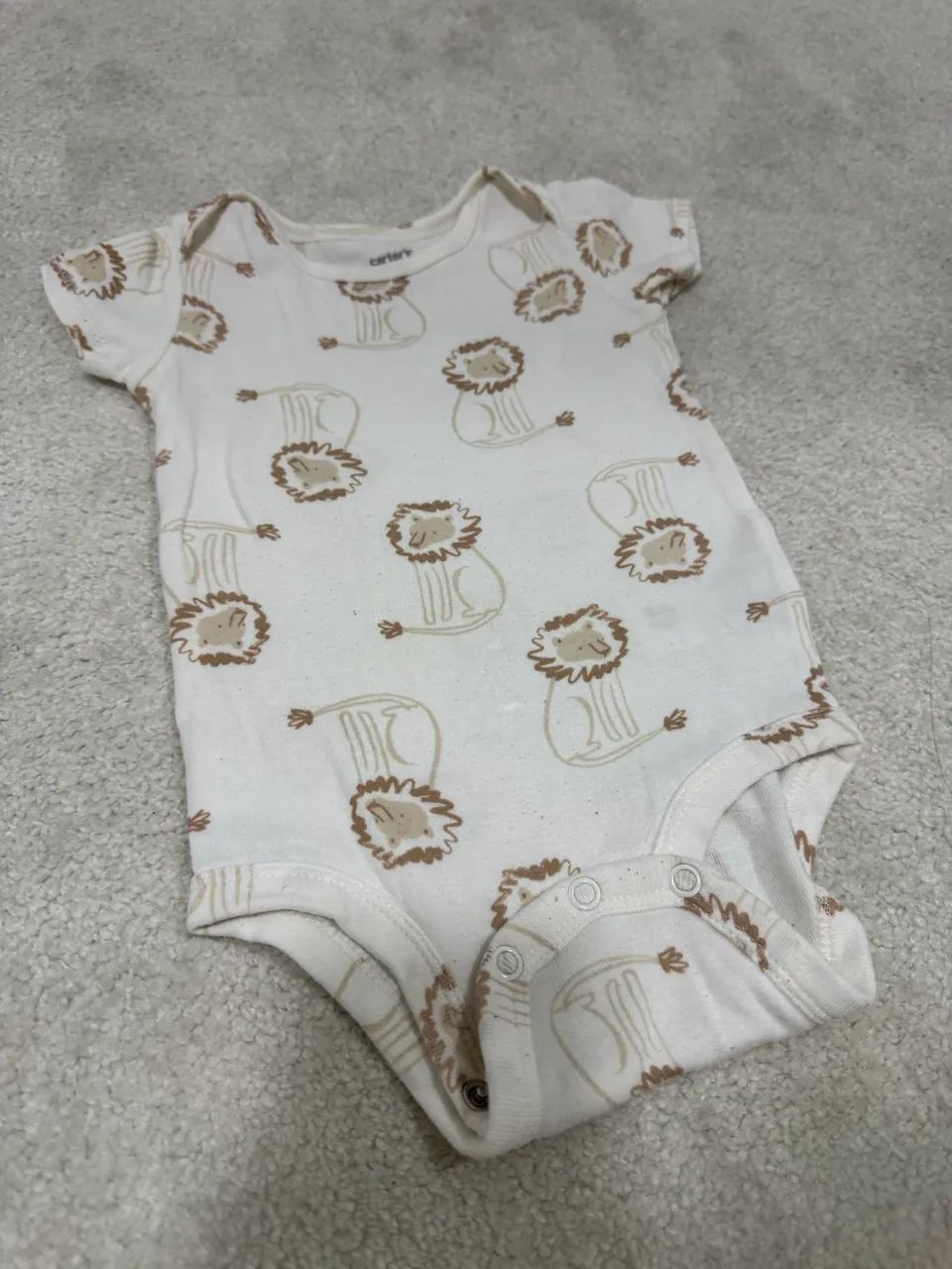 Bodys Carters  - Foto 4