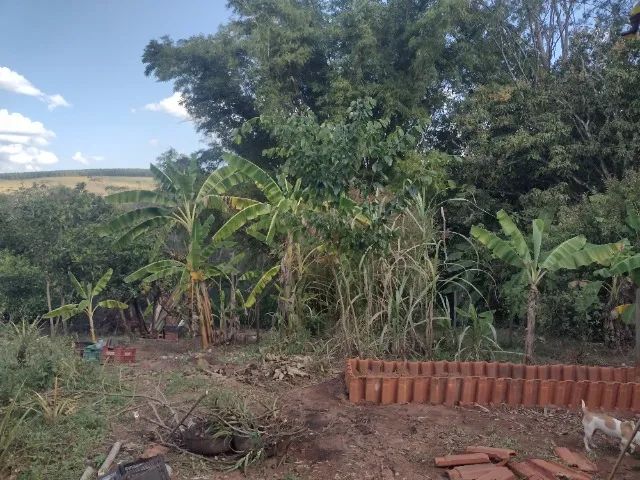 Chacrinha  - Foto 5