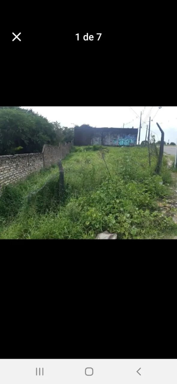 Terreno  - Foto 3