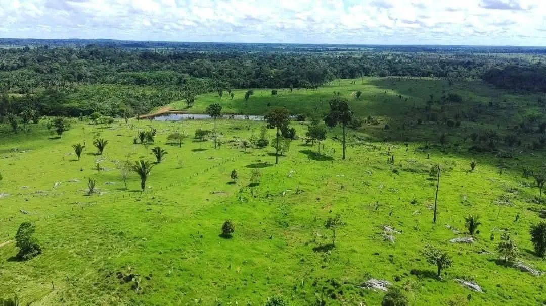Fazenda na Vicinal 1 do Apiaú Mucajaí - Foto 2