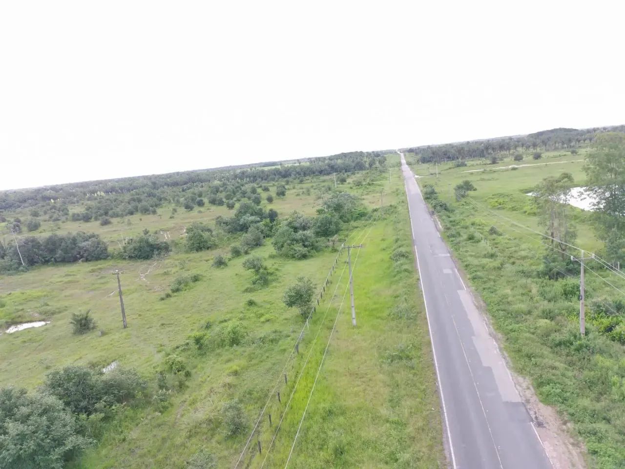 FAZENDA Á VENDA -TURILÂNDIA/MA codigo: 370853 - Foto 2