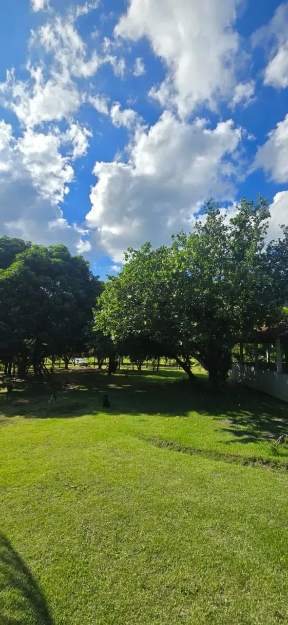 Sitio a venda Conceição de Macabú - Foto 5