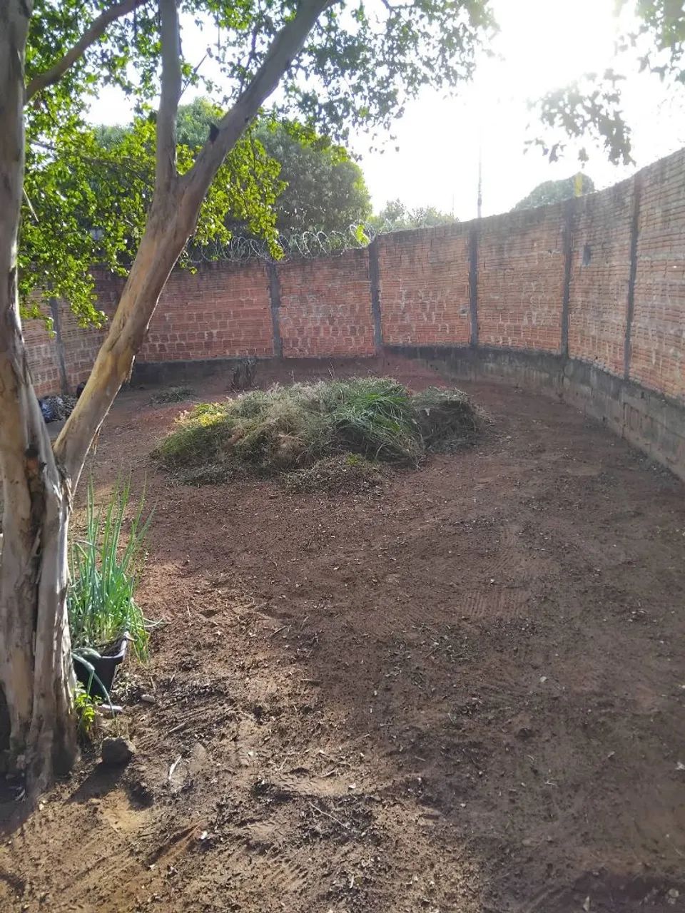 Faço serviço de jardinagem  - Foto 5