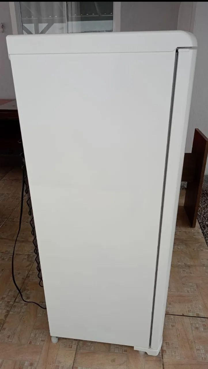 Geladeira Electrolux re31 