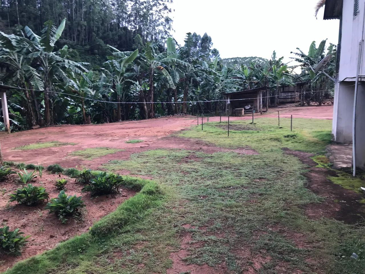 Venda de sítio Domingos Martins  - Foto 2