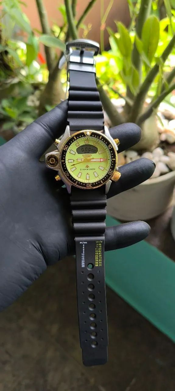 Citizen Aqualand fundo fluorescente 