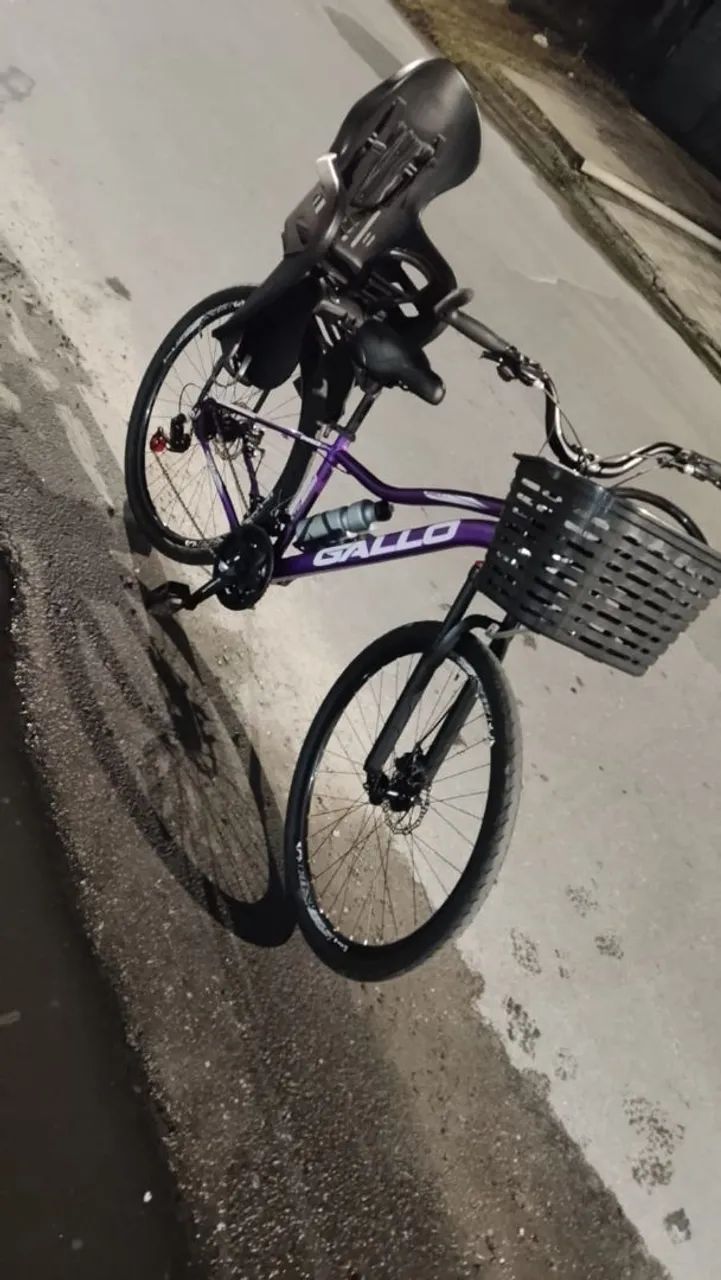 Bicicleta aro 29 