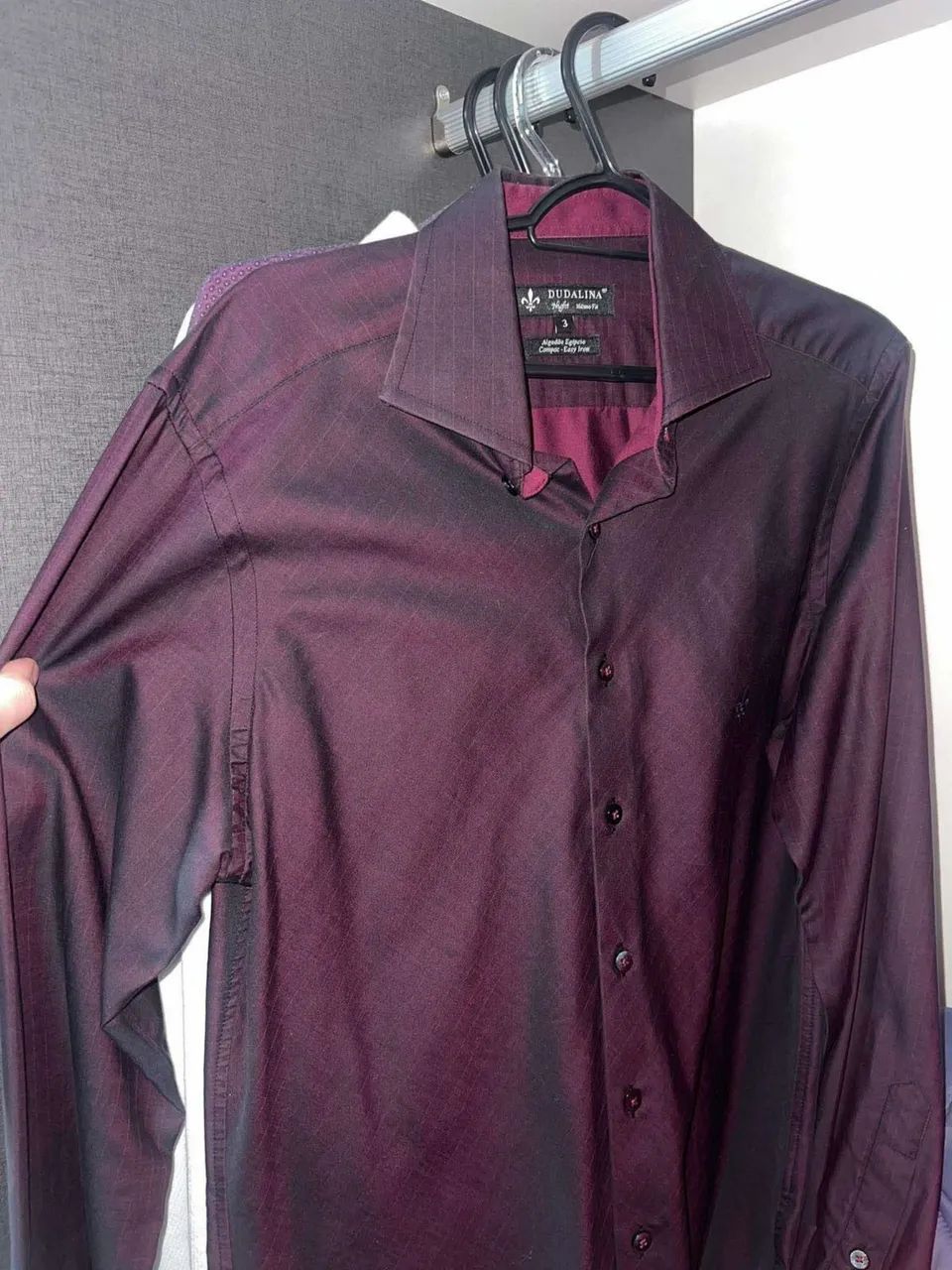 Camisa Dudalina masculina 