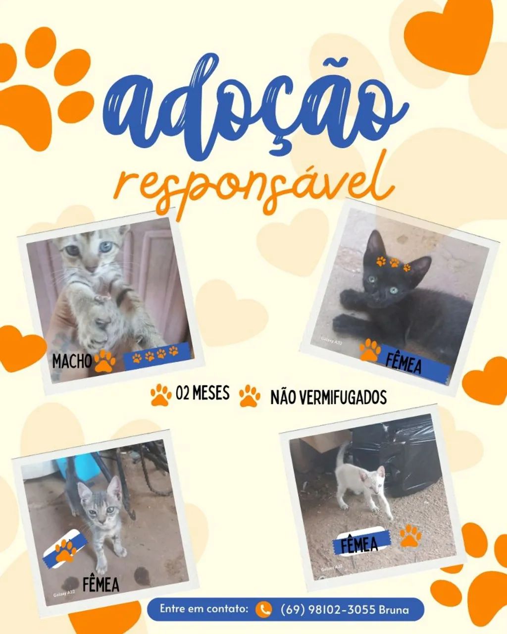 Adoção Responsável 