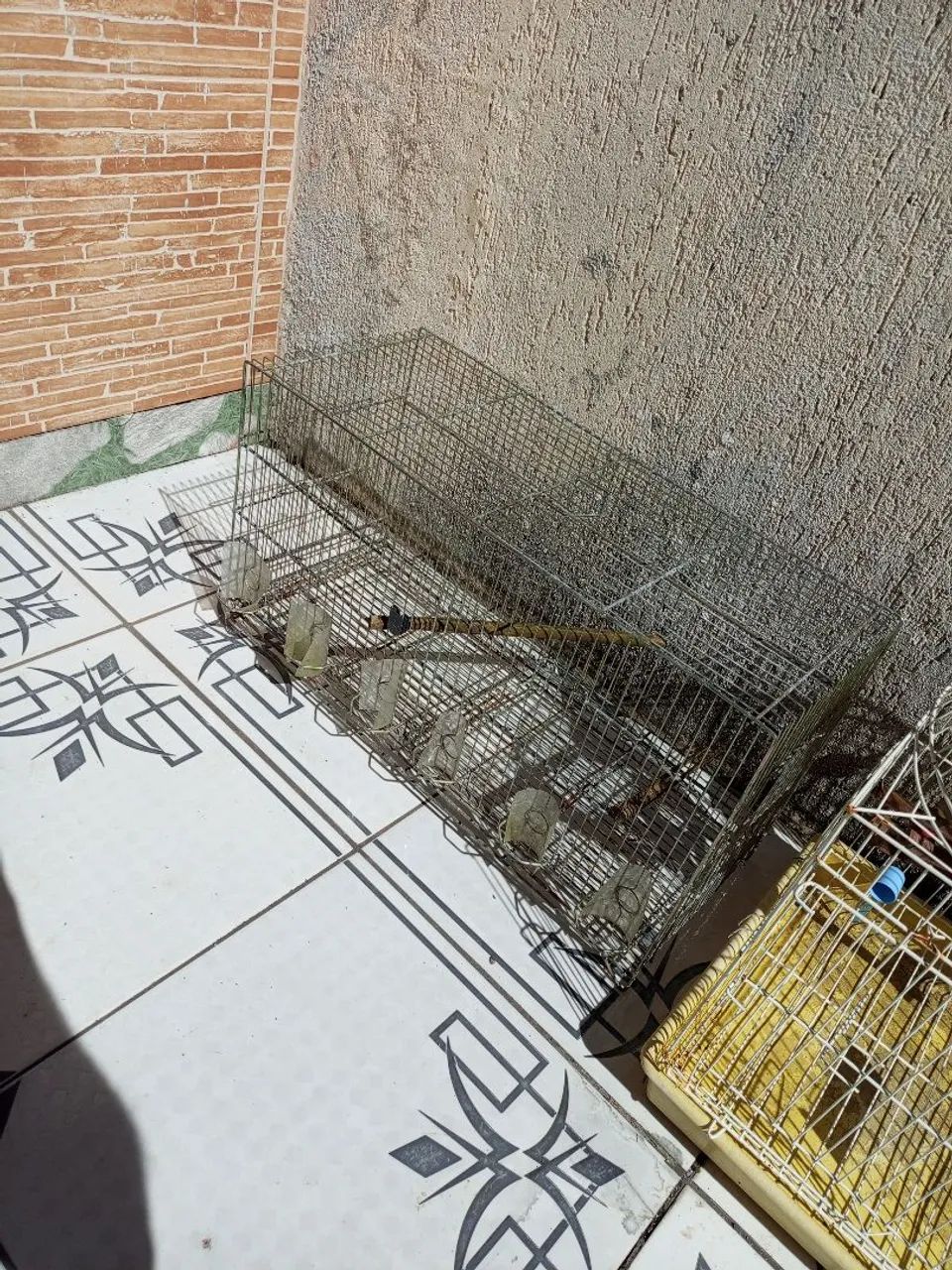 Gaiola,Par - Foto 2