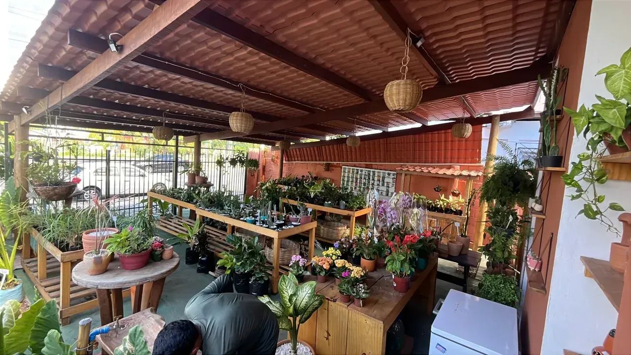 Repasse Loja de Plantas em Ponta Negra - Natal - RN - Foto 3