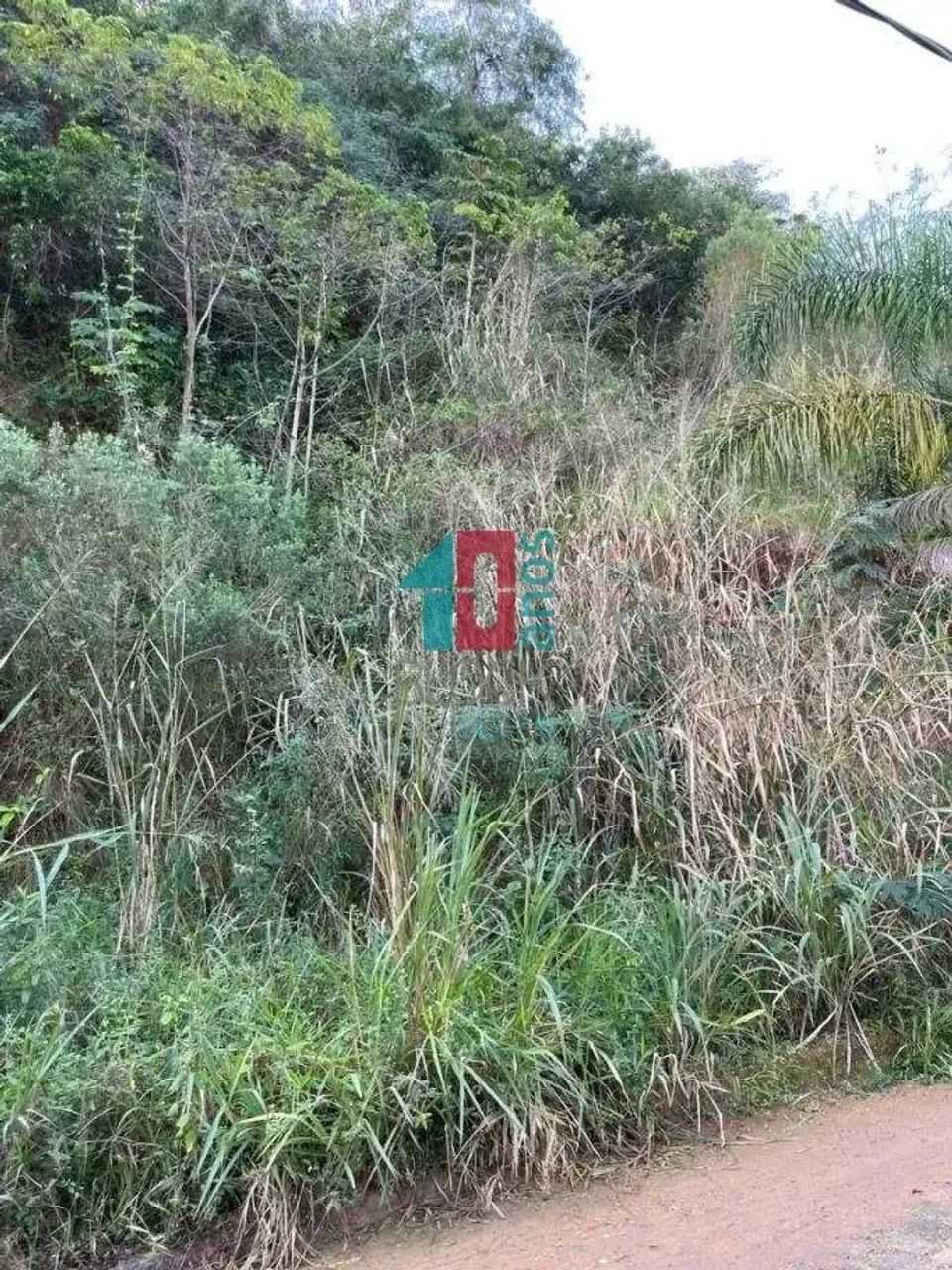 Pechincha | Terreno - Foto 4