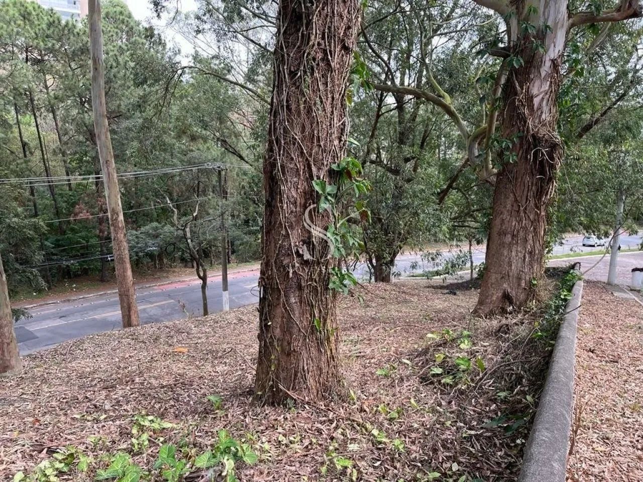 Terreno em São Paulo - Foto 4