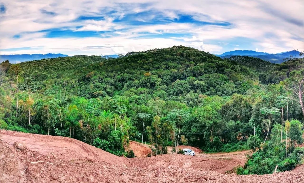 Terreno em canelinha na geral do moura - Foto 5
