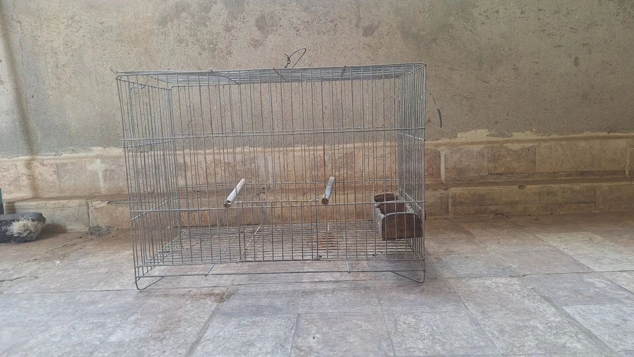 GAIOLAS - Foto 2