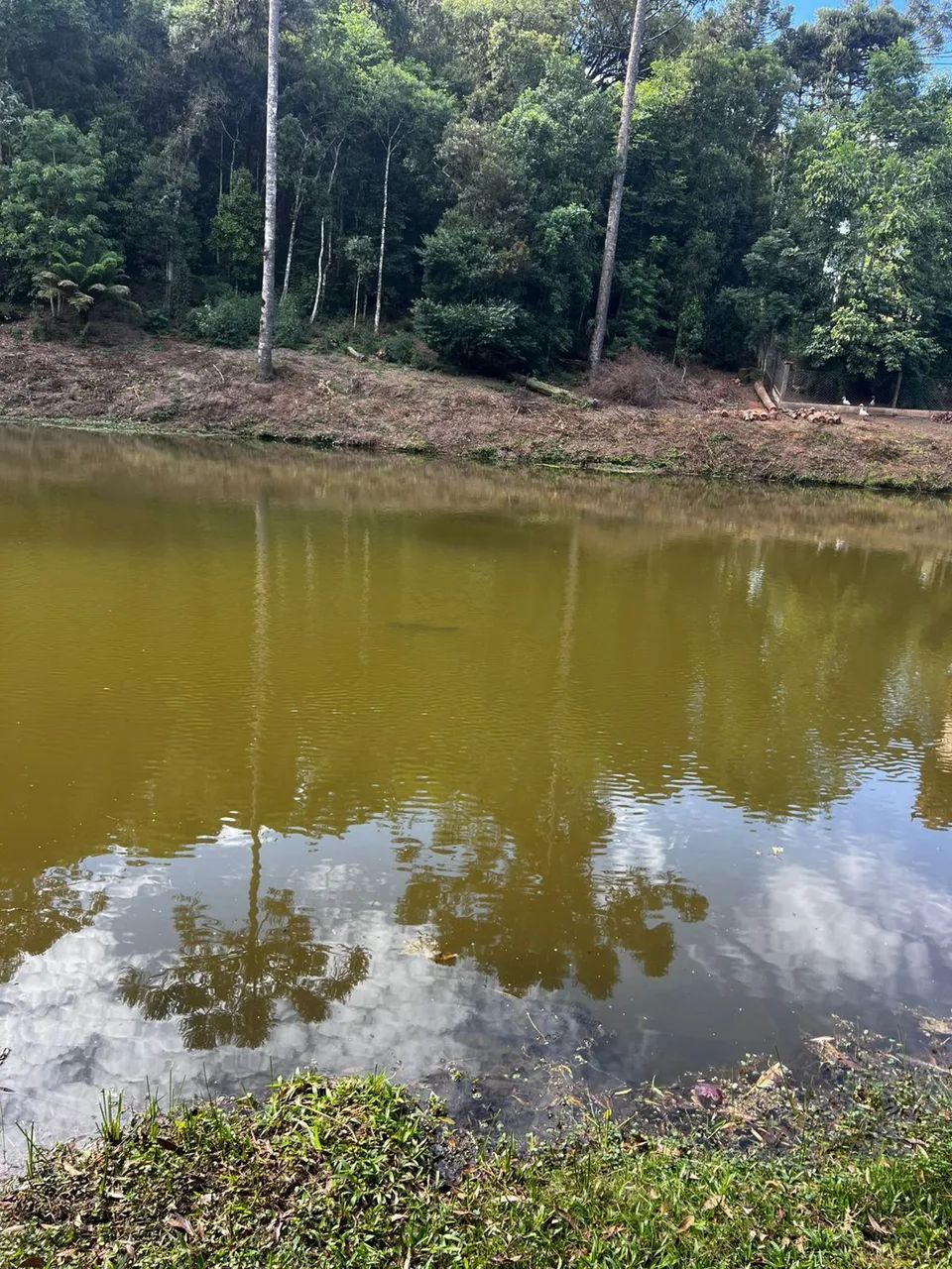 Linda chácara em Rio negrinho - Foto 5