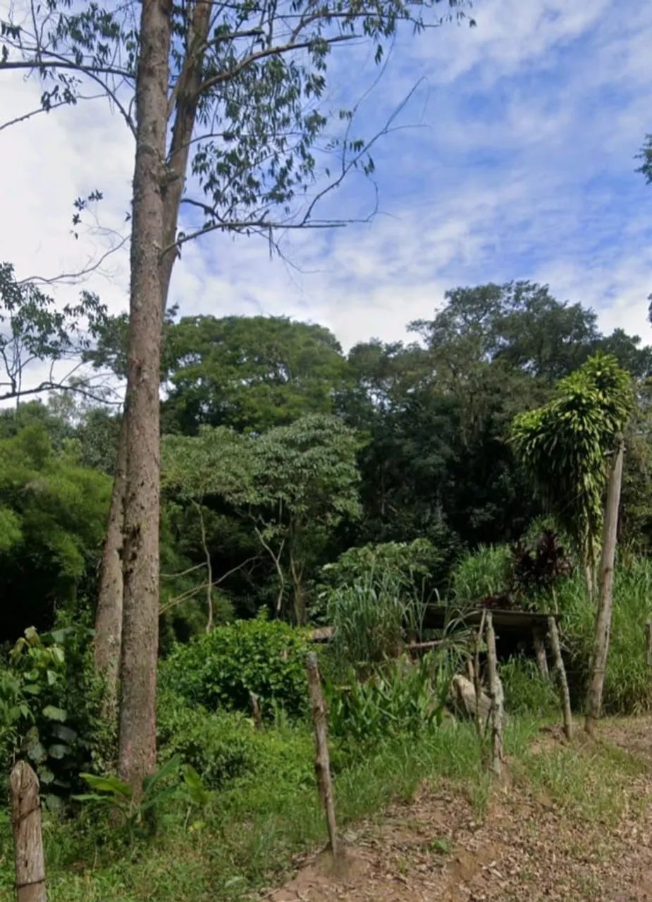 Sítio em Sabauna  - Foto 5